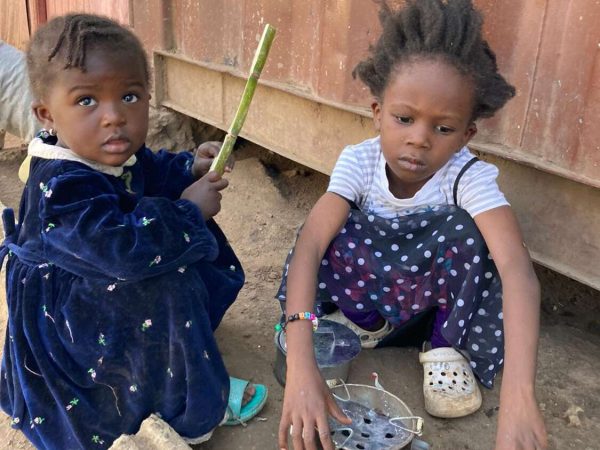 17354766115458519132561327159645