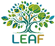 leafforchildren